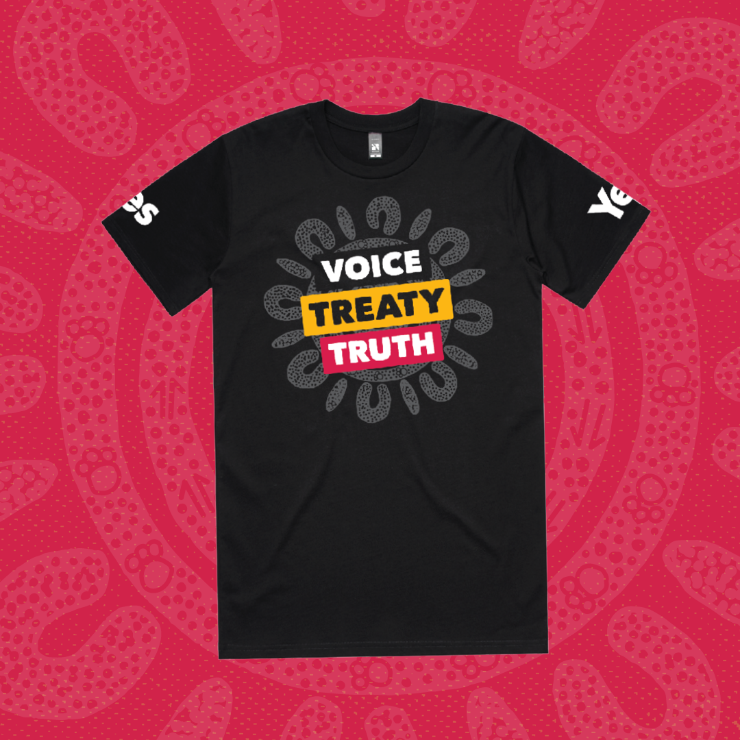 Voice, Treaty, Truth tee  Now only $15